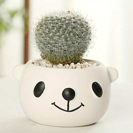 Zareon 4-Piece Cartoon Bear Ceramic Succulent Planter Pots with Drainage Holes